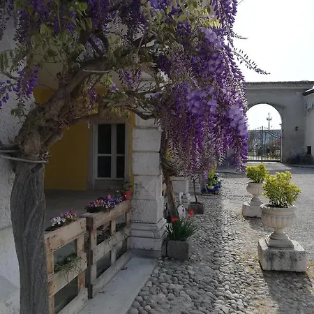 לינה וארוחת בוקר Venga