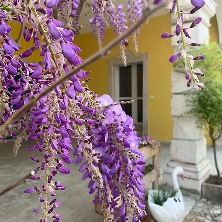 Venga לינה וארוחת בוקר 3*