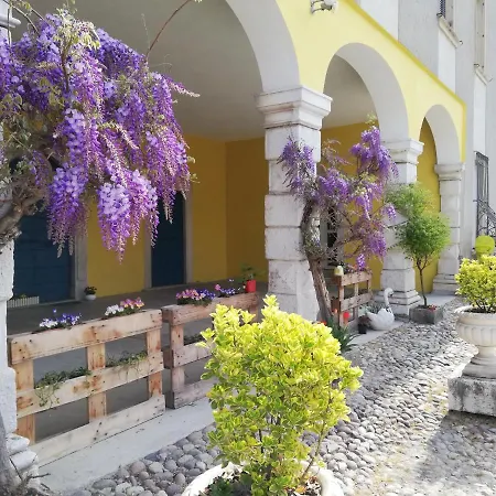 לינה וארוחת בוקר Venga